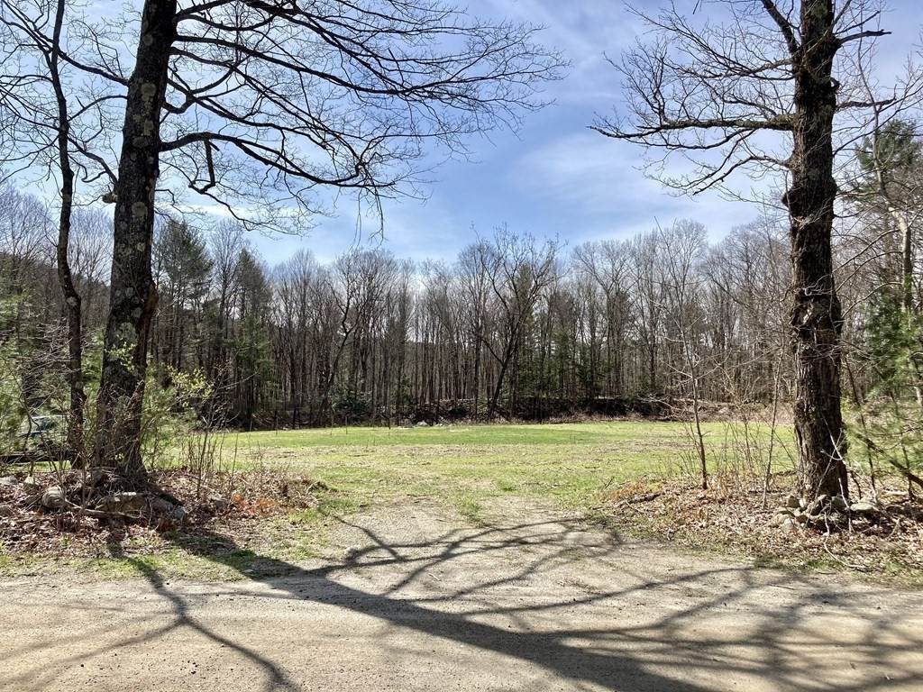 0 Rattlesnake Gutter Rd L: - Photo 1
