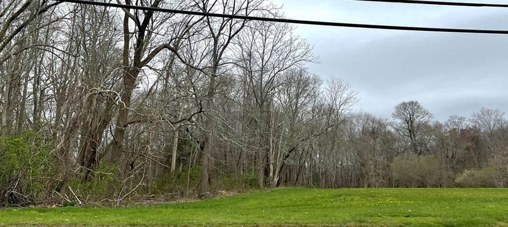 Lot 175E Alden Road - Photo 1