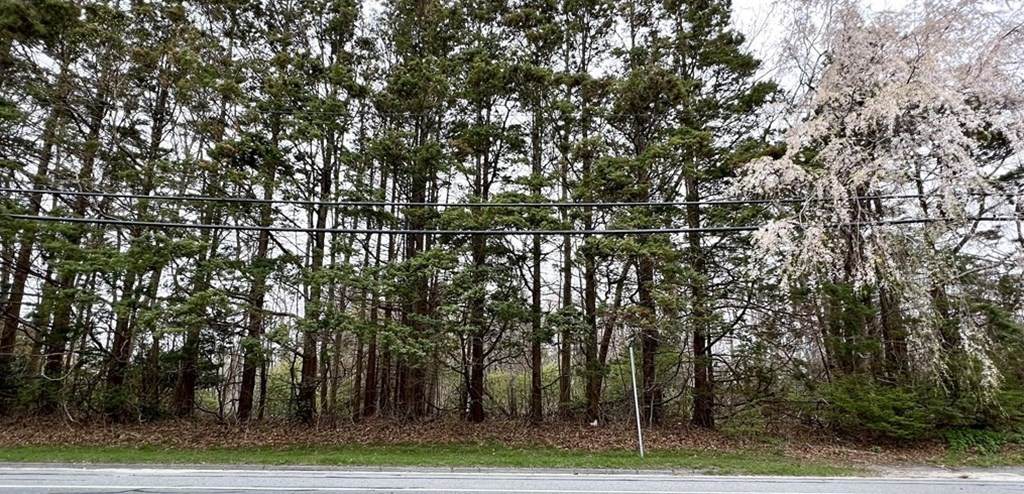 Lot 1 Alden Road - Photo 1