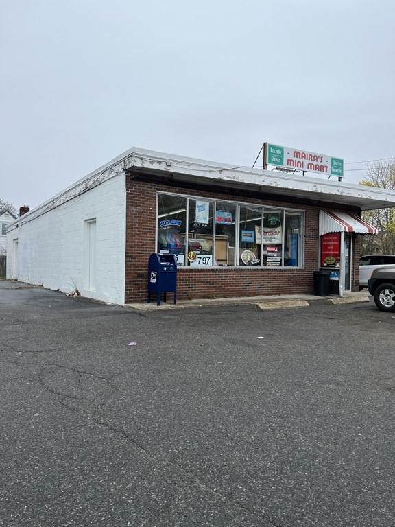 208 Chestnut St - Photo 1