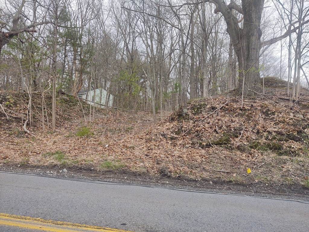 0 Hopkinton - Photo 1