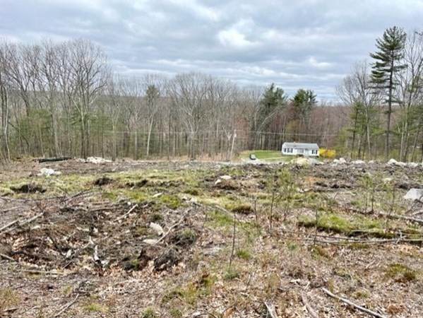 1214 Franklin Rd - Photo 1