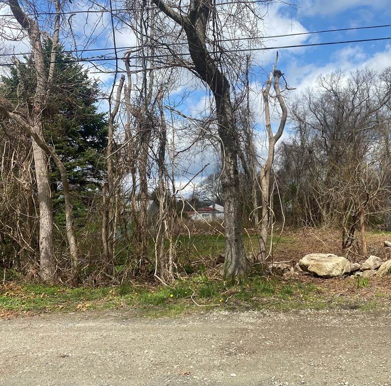 Lot 488 Bonney Street - Photo 1