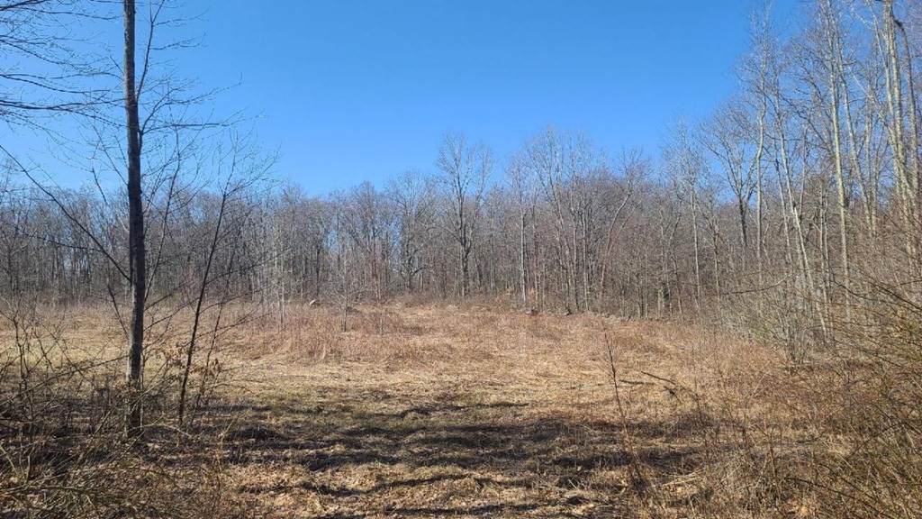112 Tucker Rd - Photo 1