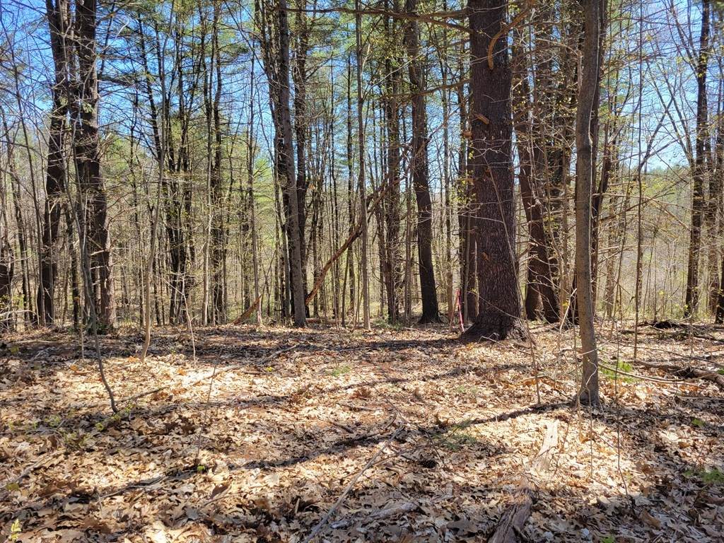 Lot 3 Pickett Lane - Photo 1