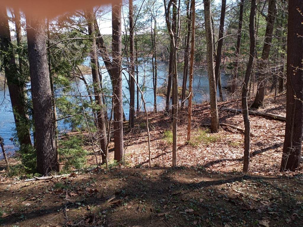 Lot 59 Bellevue Dr - Photo 1
