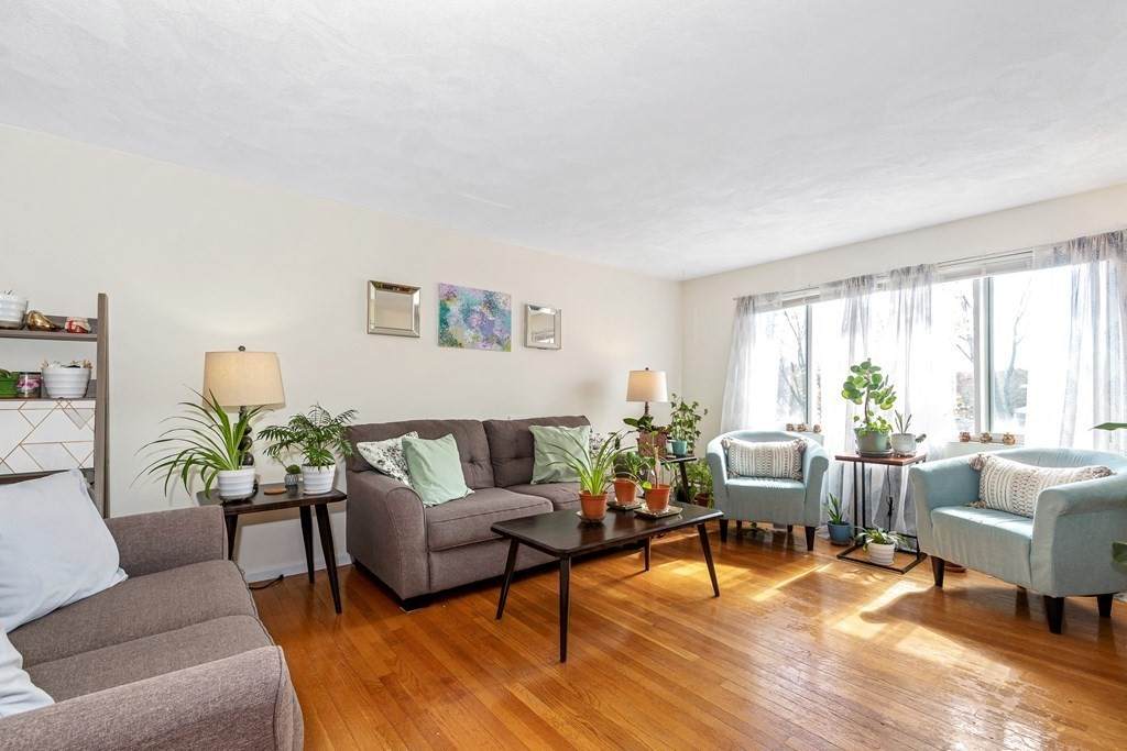 3 Albert Drive - Photo 1