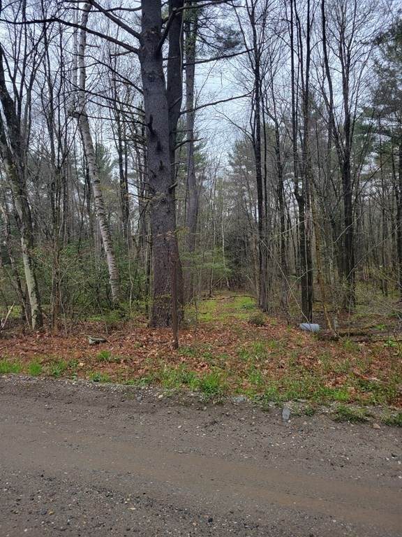 0 Hawks Rd - Photo 1