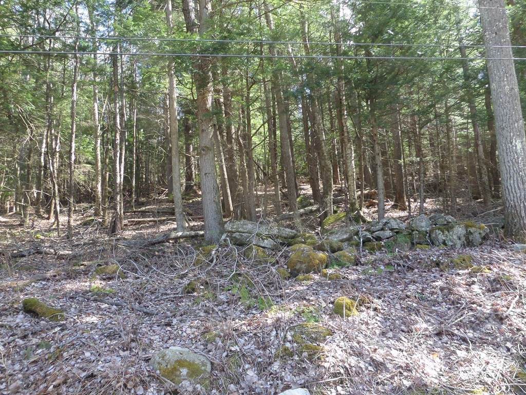0 Thayer Hill Road - Photo 1