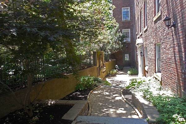 16 Chauncy St - Photo 1