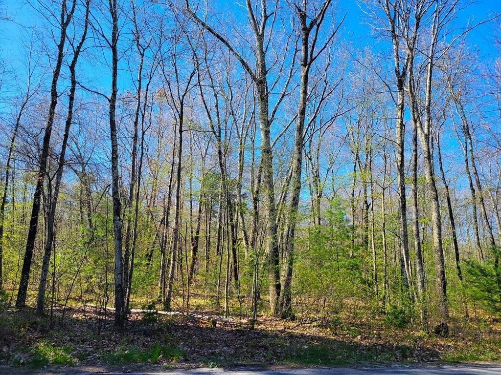 0 Paradise Lake Rd - Photo 1
