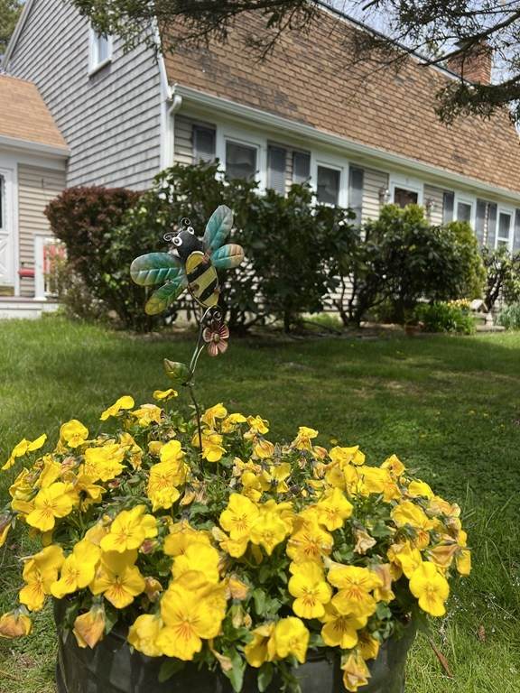 5 Yarmouth Rd - Photo 1
