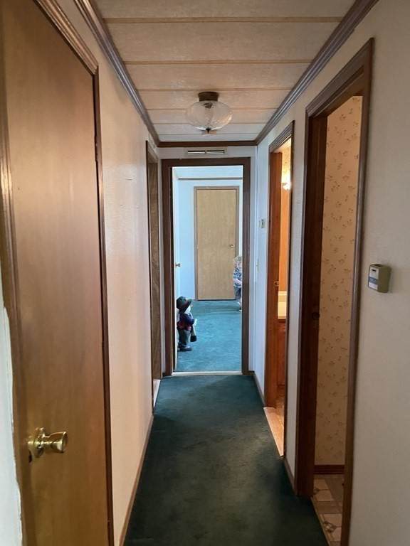 12 Anna St - Photo 1