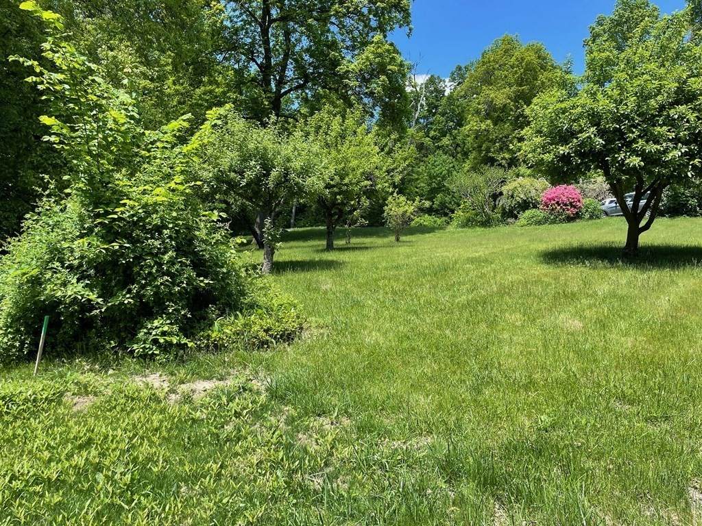 0 Tower Rd - Photo 1