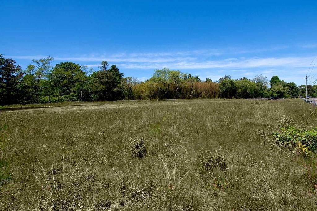 00 Herring Creek Rd - Photo 1