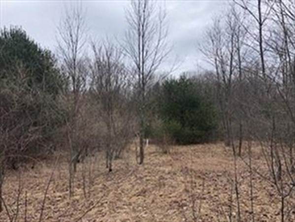 926 Old Turnpike - Photo 1