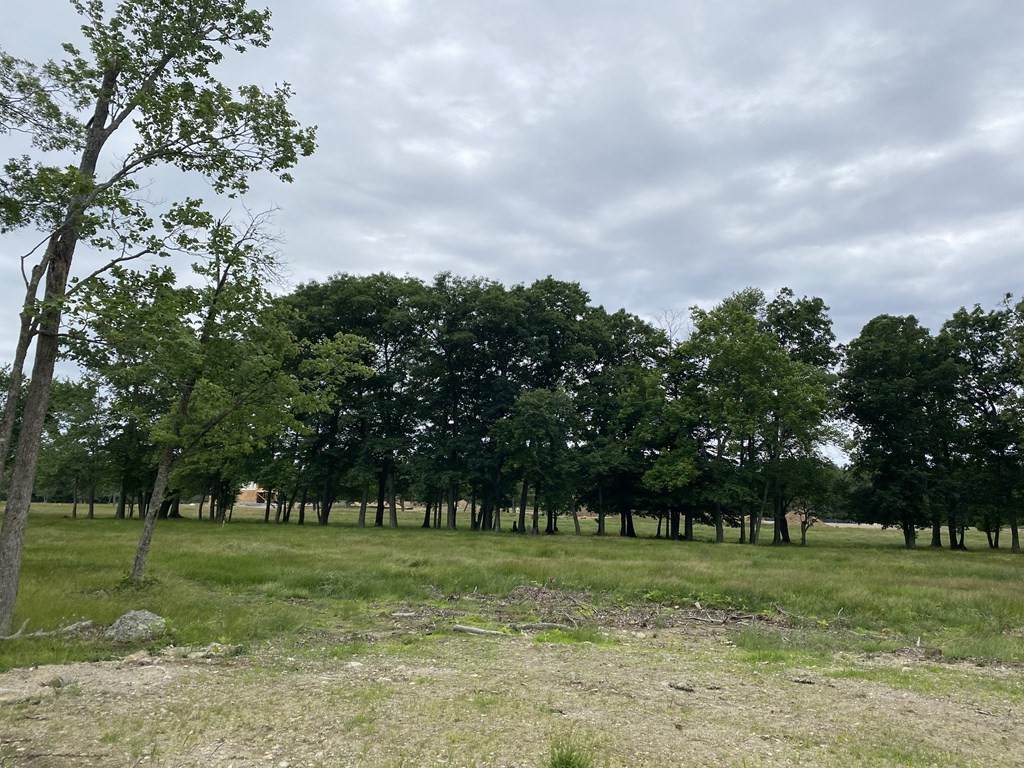 Lot 21 Hybrid Lane - Photo 1