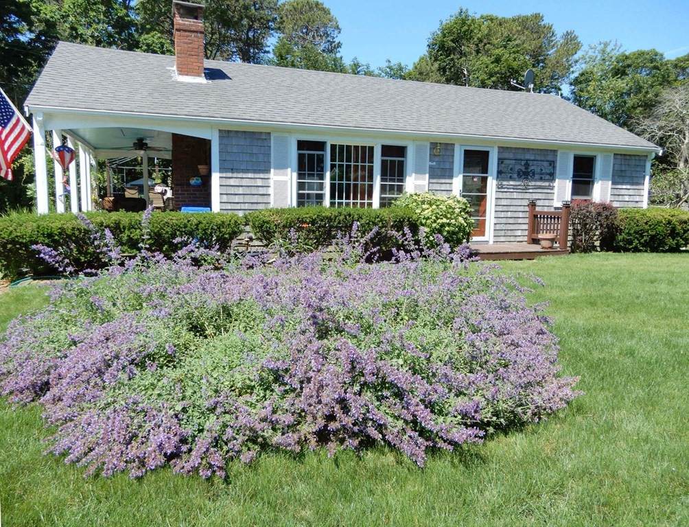 269 Old Bass River Rd - Photo 1