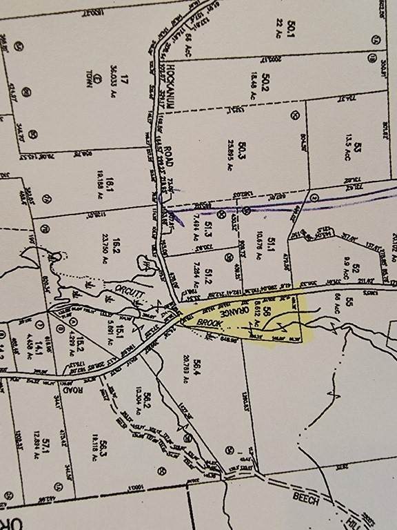 00 Orange Rd - Photo 1