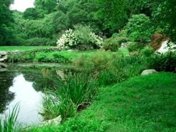 https://bt-photos.global.ssl.fastly.net/mlspin/orig_boomver_1_73007902_2.jpg
