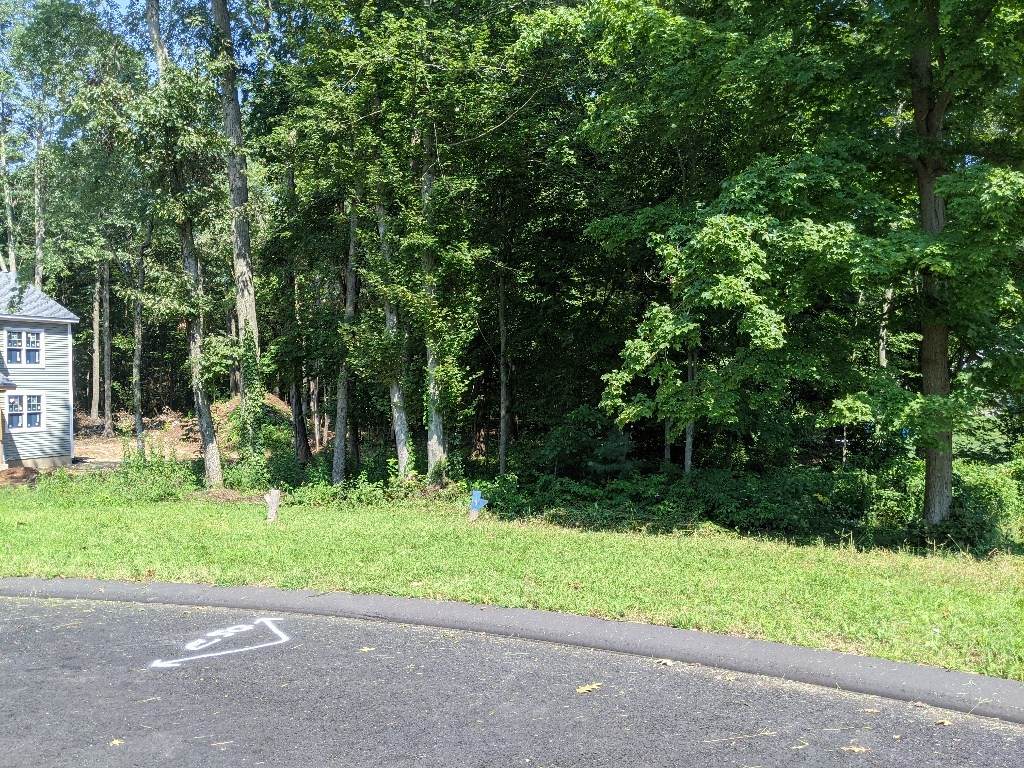 1 Jeffrey Lane - Photo 1