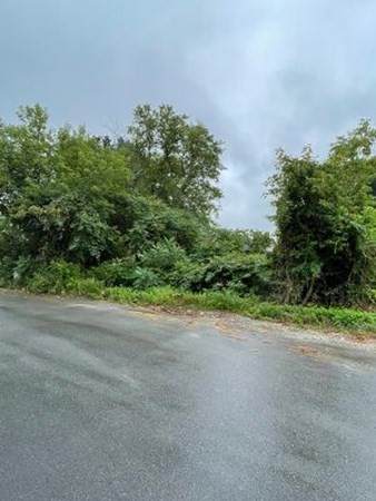 Lot 1 Stevens - Photo 1