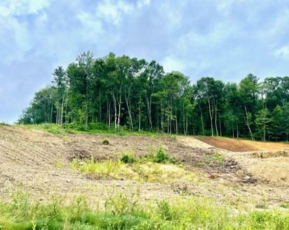 Lot 16 Jennings Rd - Photo 1