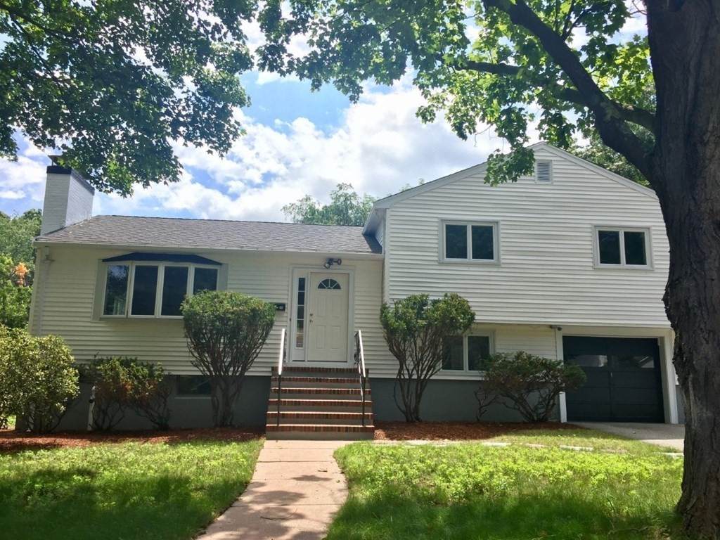 35 Dunedin Road - Photo 1