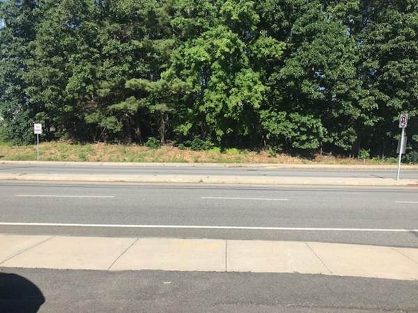 Lot 1A Washington - Photo 1