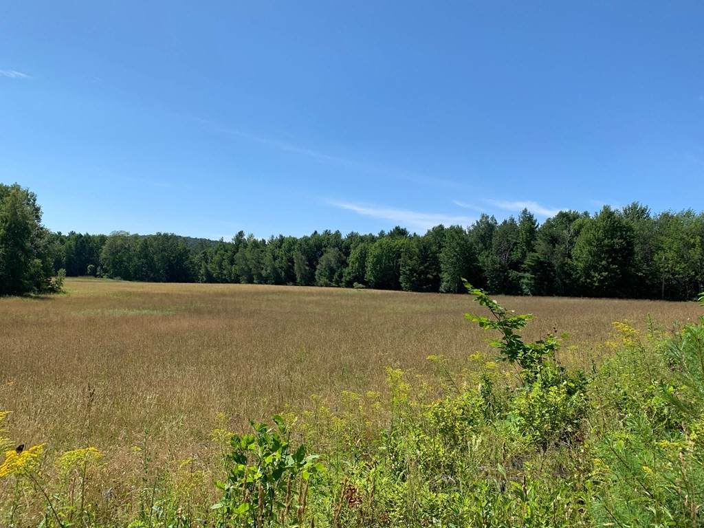 0 Summit, Governor - Photo 1