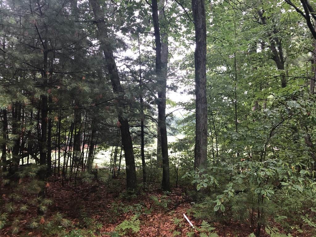 522 Cross Street - Photo 1