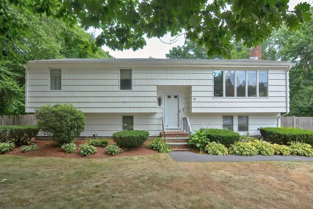 79 Fitzpatrick St - Photo 1