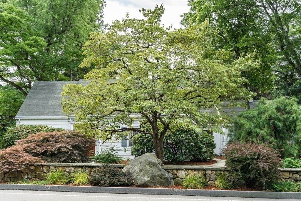 396 Marsh Street - Photo 1