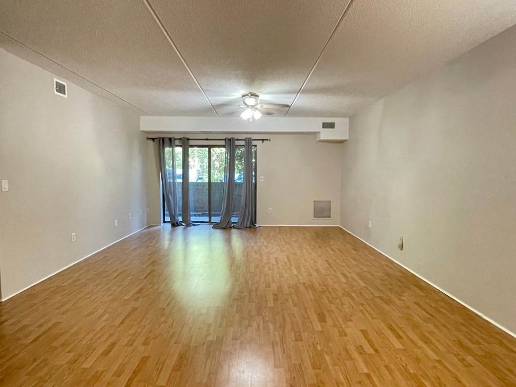 289 Elm St. - Photo 1