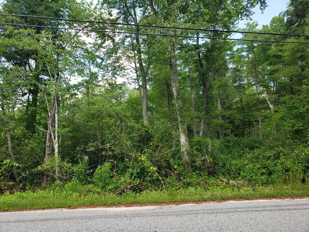 LOT 6 Maple Street - Photo 1
