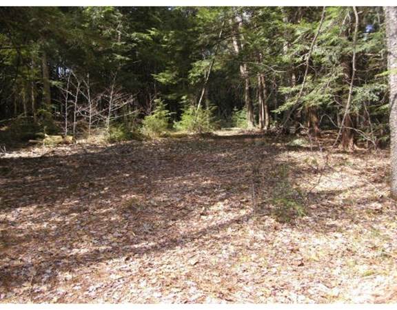 297 Athol Richmond Rd - Photo 1