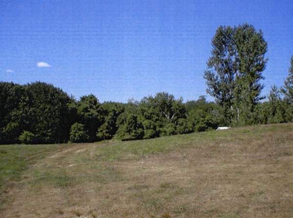 0 Tucker Road - Photo 1