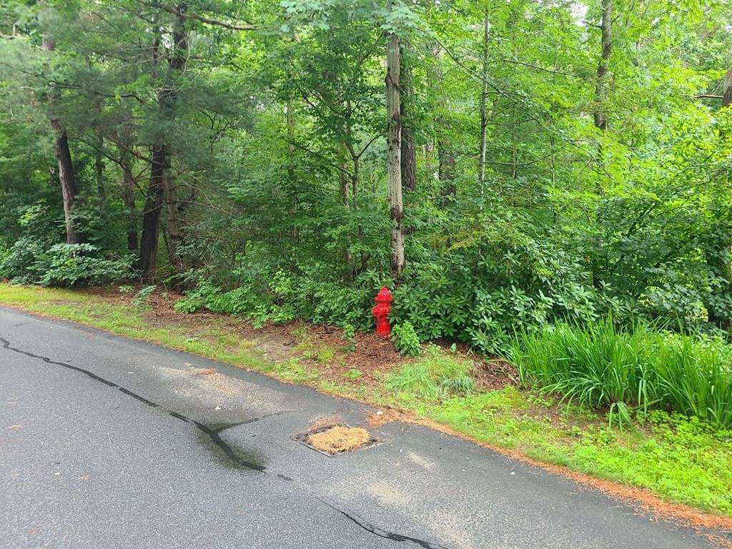 7 Checkerberry Ln - Photo 1