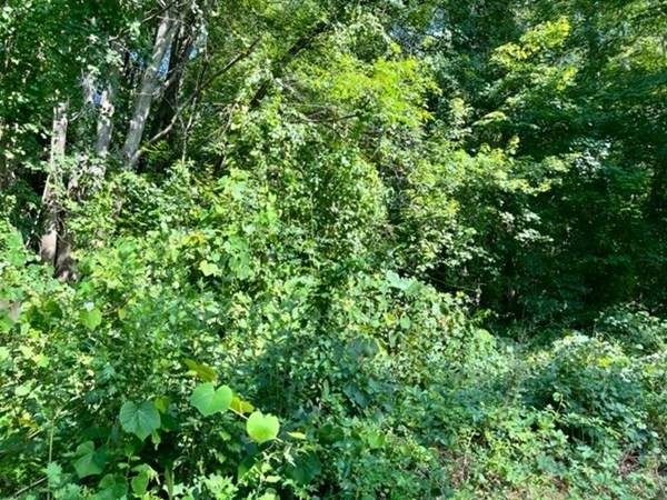 125 Chilson Rd - Photo 1