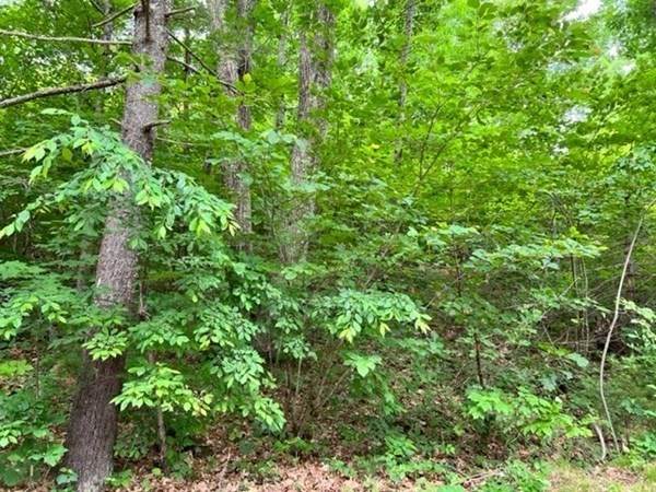 Lot 70.1 Brimfield Rd - Photo 1