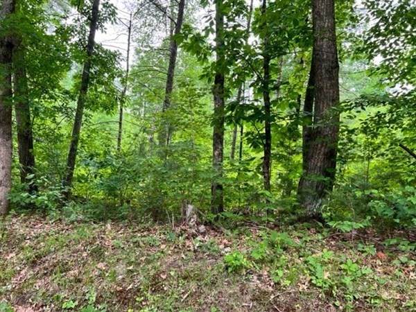 Lot 70.2 Brimfield Rd - Photo 1