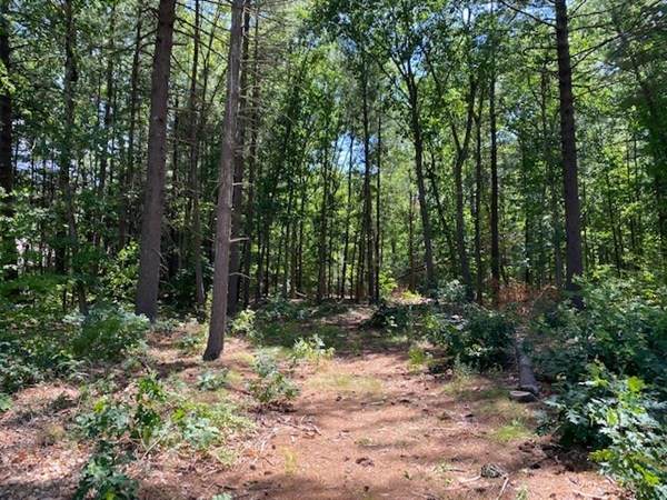 Lot A Pomeroy Street - Photo 1