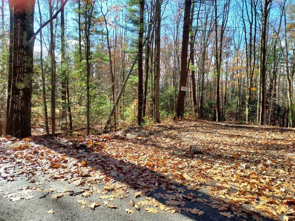 0 Lyons Hill Road - Photo 1