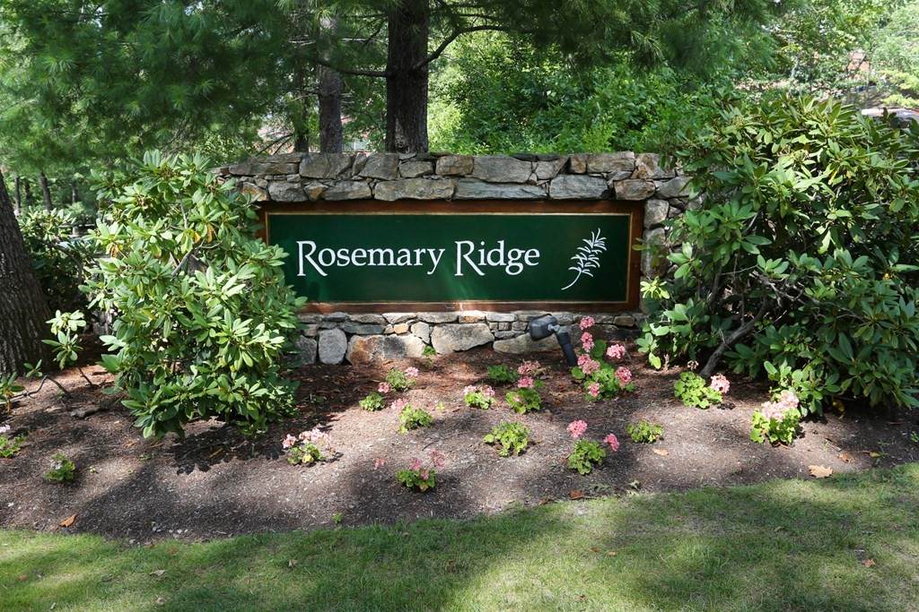 100 Rosemary Way - Photo 1