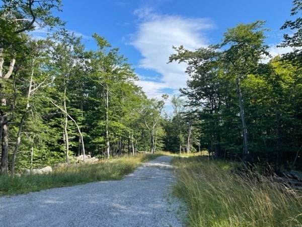 458 Old North Road - Photo 1