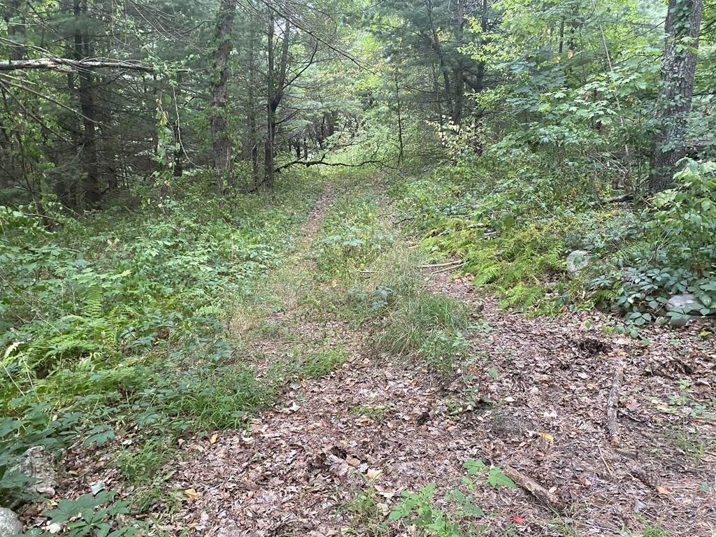 Lot 9 Vinton Rd - Photo 1