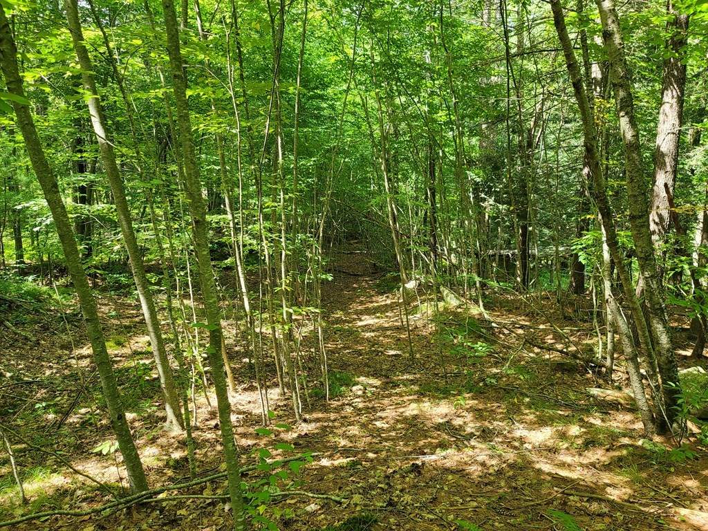 327 Mountain Rd - Photo 1