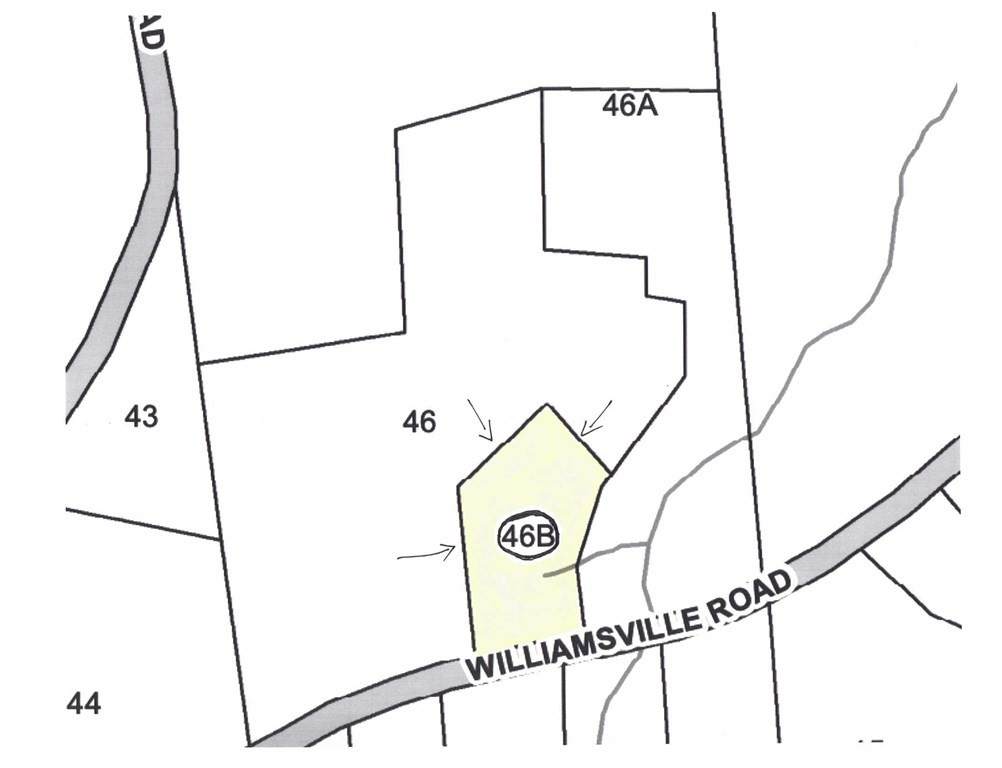 Lot A Williamsville Rd - Photo 1