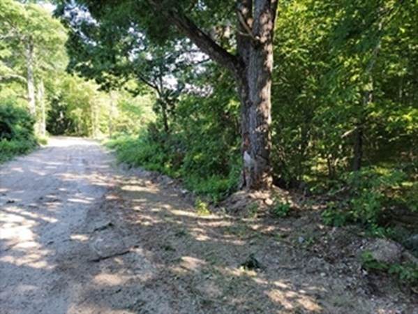 0 Lot 2 Davis - Photo 1