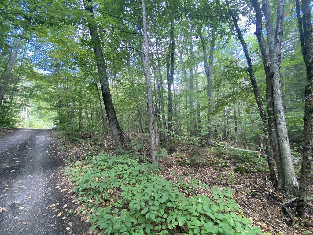 Lots 3 & 4 Hillside Dr - Photo 1
